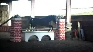 jimmy loosejumping