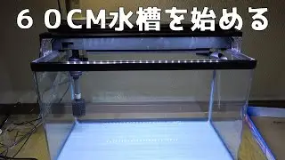 ６０cm水槽を立ち上げるぞ！【GEXのラピレスRV６０】