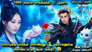 பாம்புக்கு பயந்த பொண்ணு 🐍 டிராகனுக்கு பொண்டாட்டி ஆன கதை! 😂 Fantasy Love Drama | தமிழ் விளக்கம்