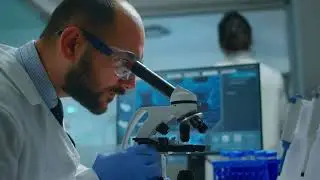 Elevate Your Cell Culture Protocols with Recombinant Human Fibronectin