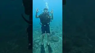 Scuba Diving it's Simple Awesome 🤿🐟🐬🤿 #gokarna #beach #swimming #jump #dive #sea #ocean #water