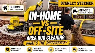 Area Rug Cleaning in Orlando: What to Expect From a Professional Clean