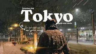 Our Last 2 Days in Tokyo 🇯🇵 | Onitsuka, Shopping , Temples, Markets and a Night We&rsquo;ll Never Forget
