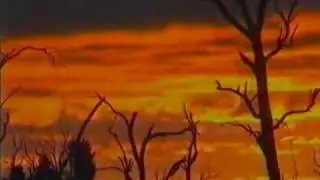 Eucalypt Dieback - 1990s, ABC Country Wide