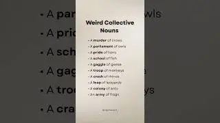 Weird collective nouns | #english #funfacts #gk #ytshorts