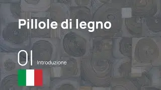 Pillola di legno 0 | Introduzione