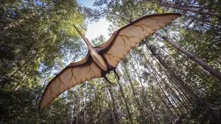Scientists discover more than 215 pterosaur eggs