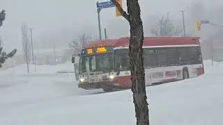 Disrupting 40cm Plus Snowstorm Pound Toronto.