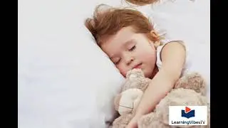 WHY DO WE DREAM?                     Fun Facts for Everyone!