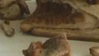 Solnhofener Klosterbrot - gr&uuml;n-weisser Schimmel Nusszopf f&uuml;r 6 Euro