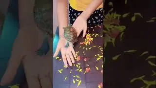 my turtle cute video 🥰.    #turtle #virlshort #feelings #purelovestatus  #petshub