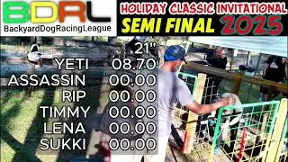 Fast Dogs, Big Dreams: Backyard Racing League Heats Up!