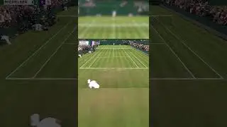 Lloyd Harris is on fire..  #tennis #shorts