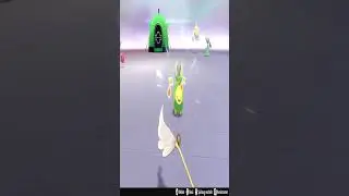 Playing Feather Wand with Budew #shorts