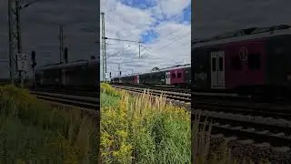 ENNO RE50 nach Hildesheim [GER]