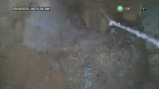 CPVA 10502 Carolina Cherry Circle Video 3