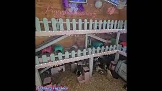 Guinea Pigs paradise 💙 #youtube ##trending #trendingshorts #shorts #shortvideo #viral #video #virals