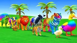 Long Slide Game with Cow Elephant Gorilla Hippopotamus Tiger 3d Animal Game Funny 3d Animals