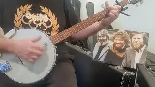 The Dubliners - Whiskey On A Sunday (Banjo play along)