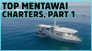 DREAM TRIP: The best charters for boat trips in the Mentawaii Islads. Confira aqui a lista.