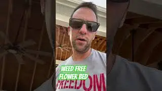 Weed Free Flower Bed
