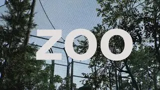 Outbreak Zoo Gameplay (Call of Duty: Black Ops Cold War)