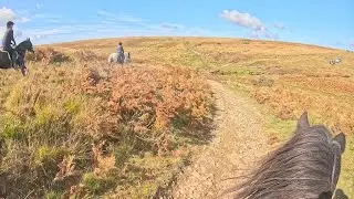Tippbarlake Exmoor Pony 2025 Gathering on Brendon Common | Filmed from Horseback