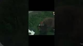 0.05 percent spawn rate!!! #views #gaming #hunting