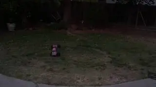 Baseltek NX2 aka HSP Grampus First Run and Thoughts - $80 Brushless 2WD 1/10 Monster Truck