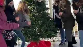 The Procrastinators - Rockin Around The Christmas Tree
