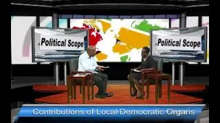 Political Scope: Contributions of Local Democratic Organs