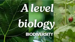 A Level Biology Edexcel A SNAB: Biodiversity