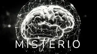 UNA REALIDAD, miles de millones de cerebros: el misterio cuántico de la conciencia