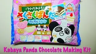 Kabaya DIY Panda Chocolate Making Kit