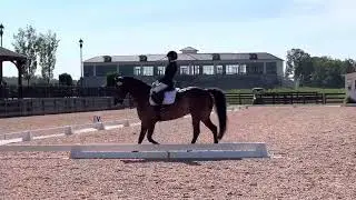 Gunsmoke&rsquo;s Gideon Top Gun Musical Freestyle