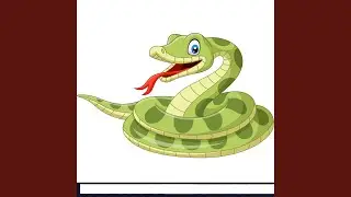 Snake on a Rock