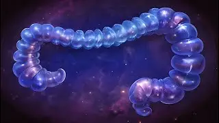 Balance and Vitality Large Intestine Meridian | 432 Hz Frequency | Binaural |Music