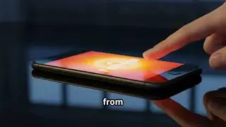 Virtual phone numbers in seconds - Fanytel