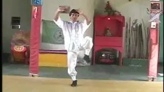 Treinamento de Tai Chi Resistencia para as pernas Mestre Lap Wah Ng 2005