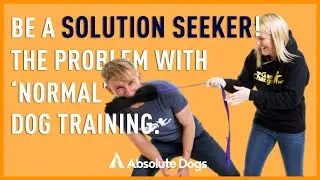 Get The FUNdamentals of Achieving Real Life Results With Dog Training