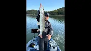 Belle prise grâce au Side Imaging Humminbird