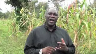 Meet the Farmers of Masasi