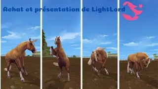 Achat et présentation de LightLord / Star Stable