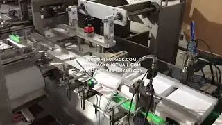 automatic horizontal cartoning machine