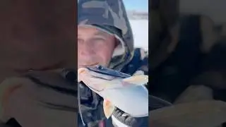 Что-то есть&hellip; Наверное БАС😳! #поплавокрыбалкадлявсех #подпишись #fishing #рыбалканаозере #рыбалка