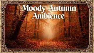 Moody Autumn Ambience Playlist | Misty Fall Forest Atmosphere & Calm Music | No AI