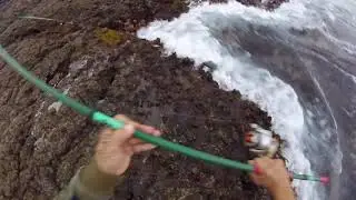 Chopa 3,800 kilogramos.Yauce video sin cortes, pesca con sopa cheemayy