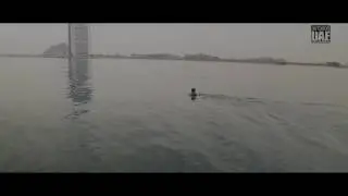 Dubai flybaord @www.hydro-watersports.com