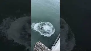 Jumping off the Pier (GONE WRONG!!!) #fishing #jumping #swimming #beach #fun #life #lifestyle