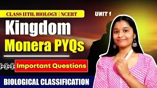 Kingdom Monera PYQs | Important Previous Year Questions | Biological Classification Class 11